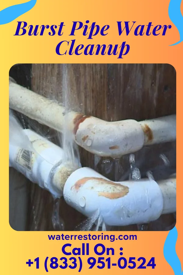 Burst Pipe Water Cleanup in Suffern, NY