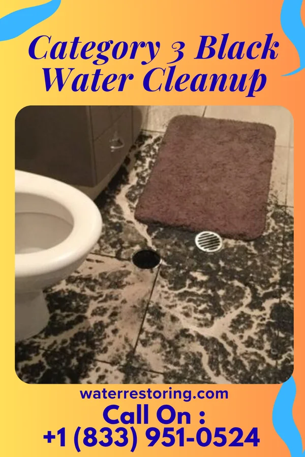 Category 3 Black Water Cleanup in Suffern, NY
