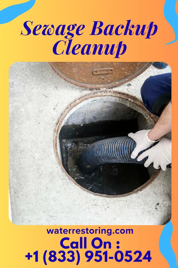 Sewage Backup Cleanup in Suffern, NY